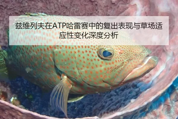 兹维列夫在ATP哈雷赛中的复出表现与草场适应性变化深度分析